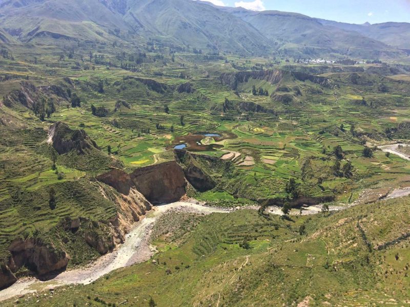 colca canyon