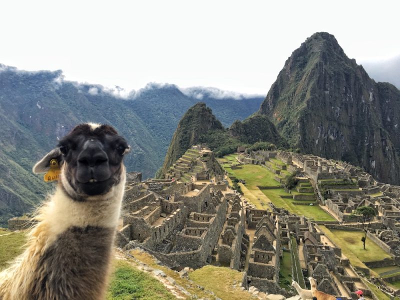 machu picchu hike