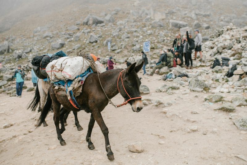 salkantay hike