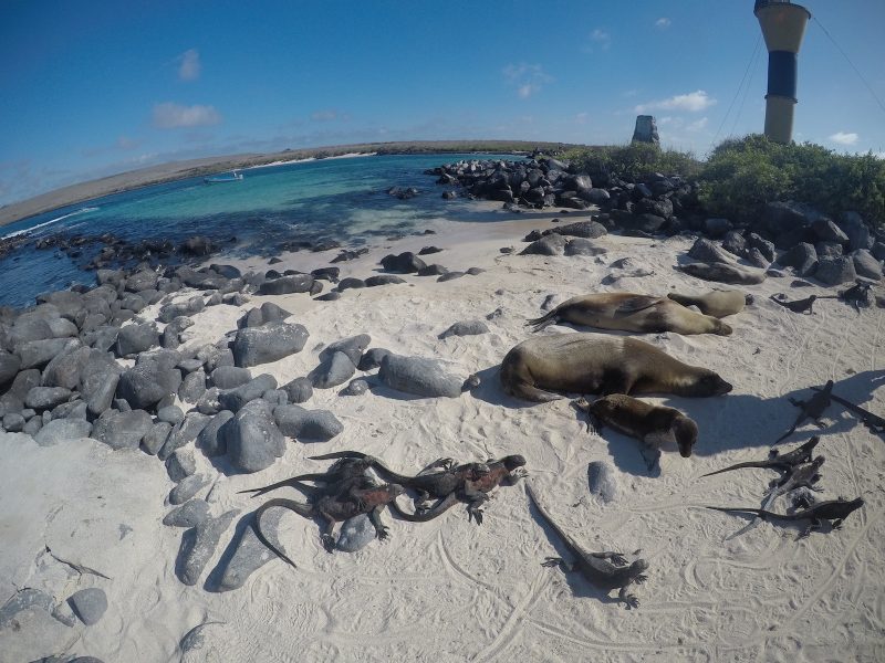 galapagos cruise