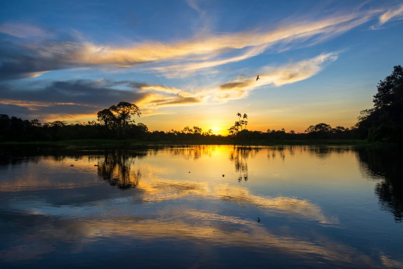 Peru Amazon tours